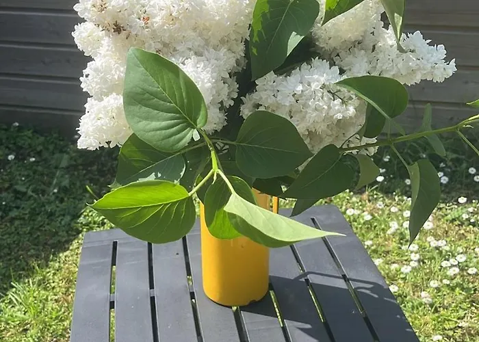 Les épines Quend-Plage-les-Pins